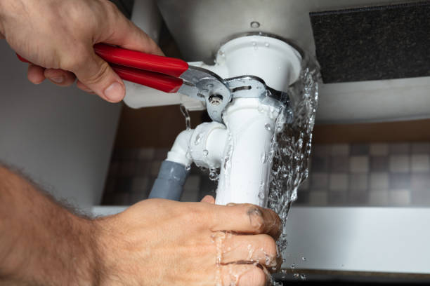 Best Ceiling water damage repair  in Morris, IL