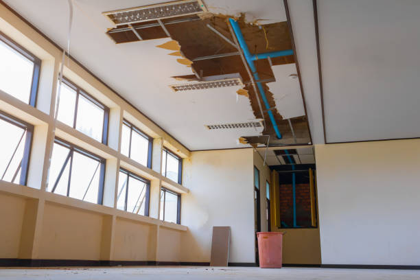 Best Water damage restoration services  in Morris, IL