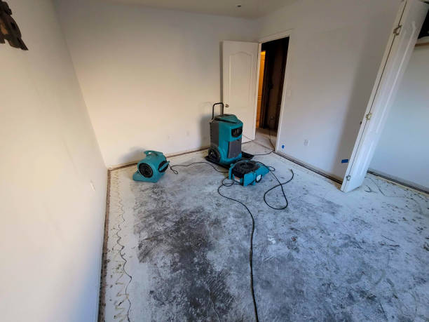 Best Carpet water damage restoration  in Morris, IL
