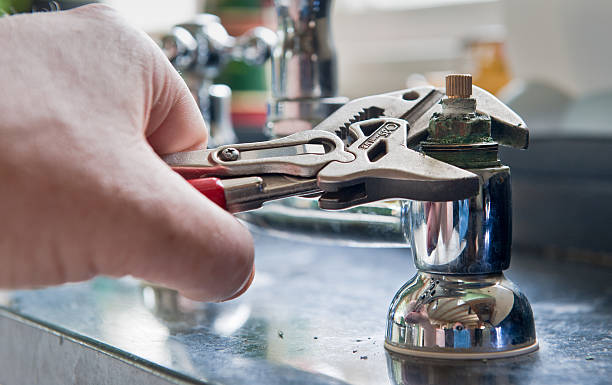 Best Professional water damage repair  in Morris, IL