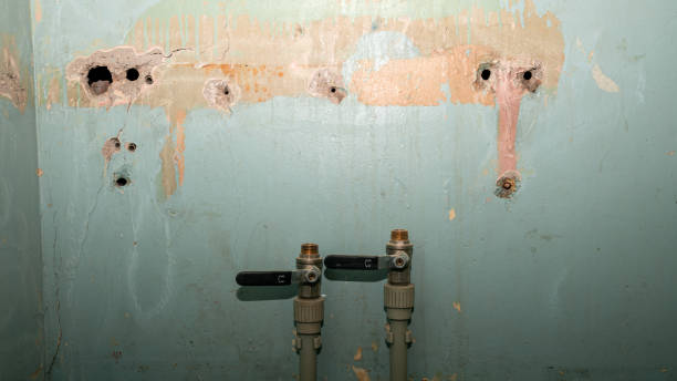 Best 24-hour water damage restoration  in Morris, IL