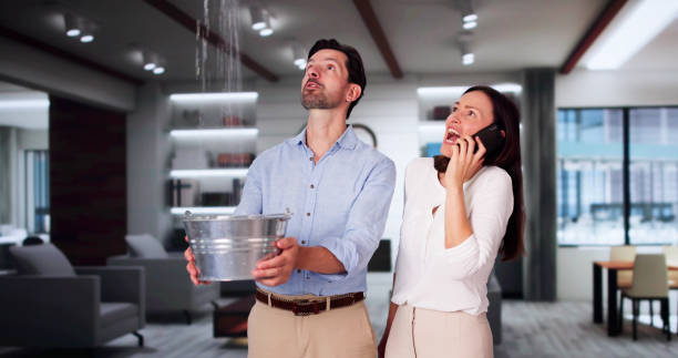 Best Professional water damage repair  in Morris, IL