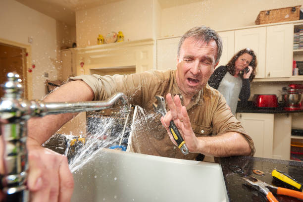 Best Water damage cleanup near me  in Morris, IL